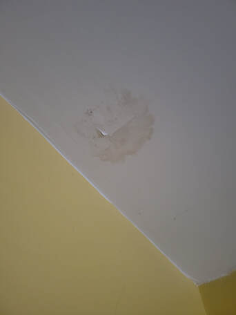 nova scotia drywall water damage